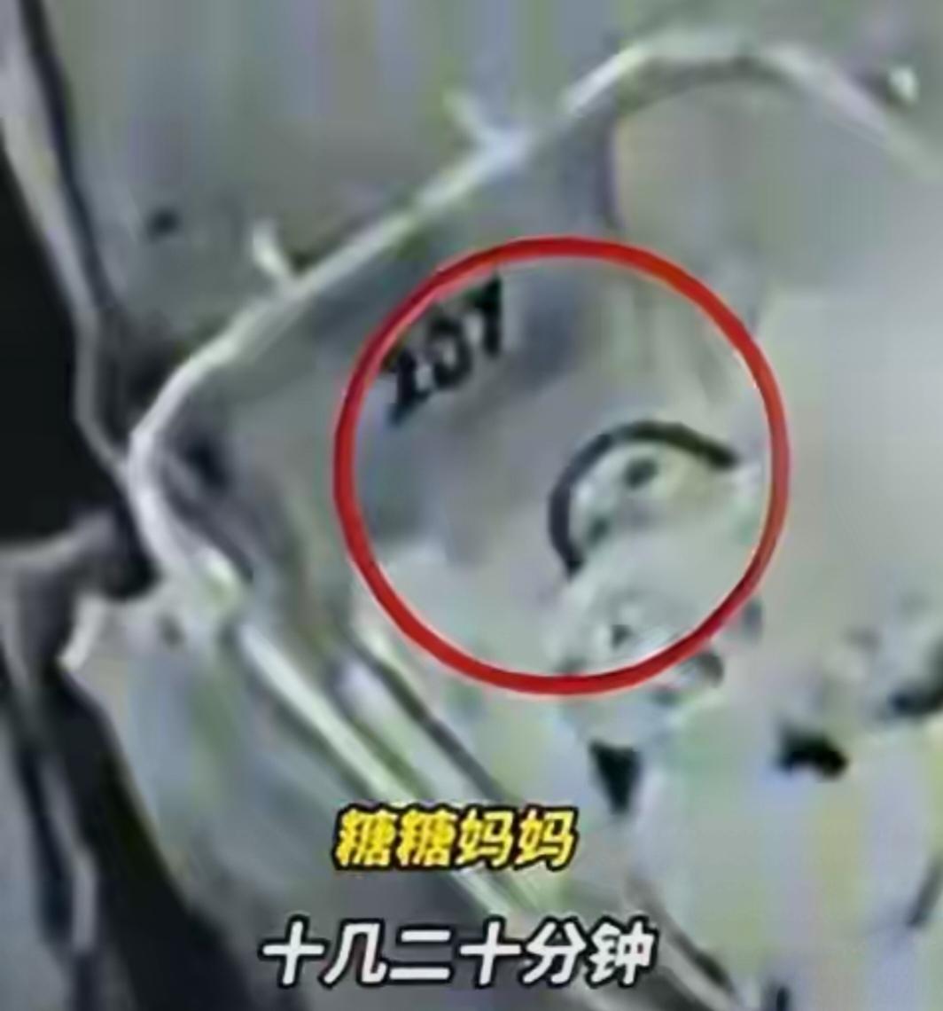 近日，广东茂名一名出生仅9天的新生儿，在母亲入住当地某月子中心第4天不幸离世，引