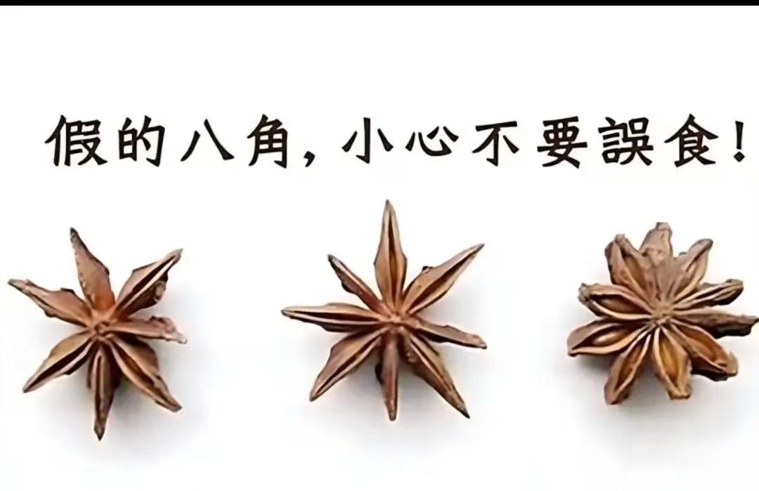哪位大神看一下“哪个是真八角”？明天评论区公布[思考]#真假#