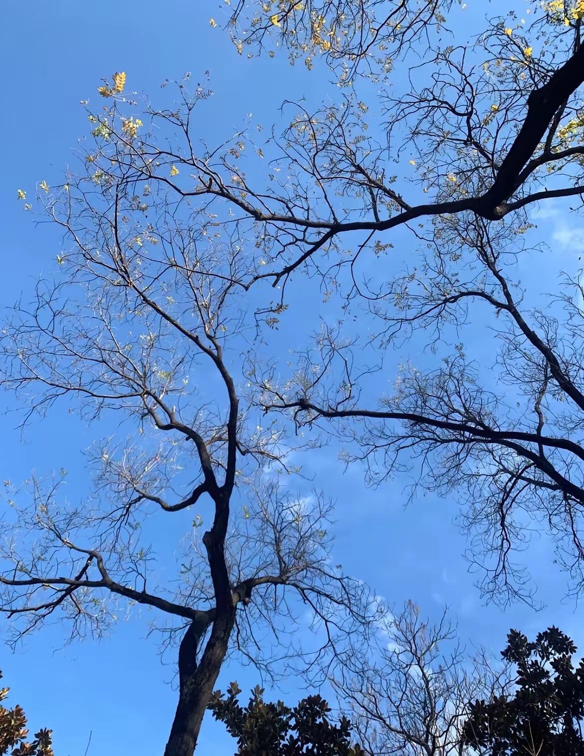 不管儿媳对你咋样，记住这5点，错不了：

第一，千万不要有把儿媳当闺女的心态，儿