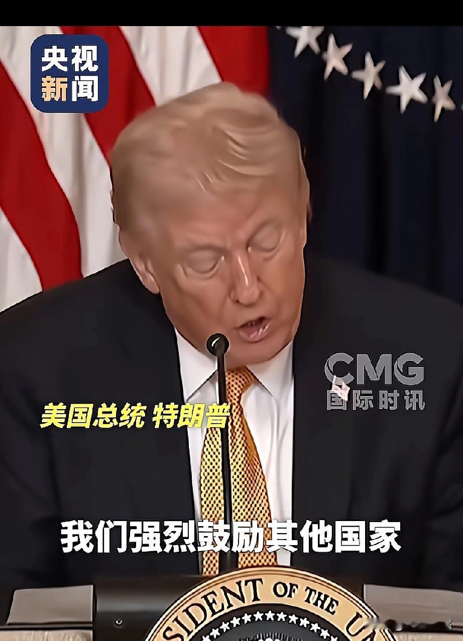 老特现在也学会了用“纸老虎”这个词，看来他的学习能力也是很强的，能够驾轻就熟的使