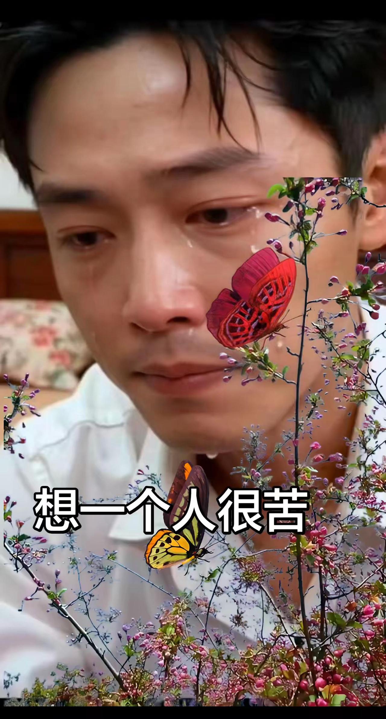 想一个人好苦