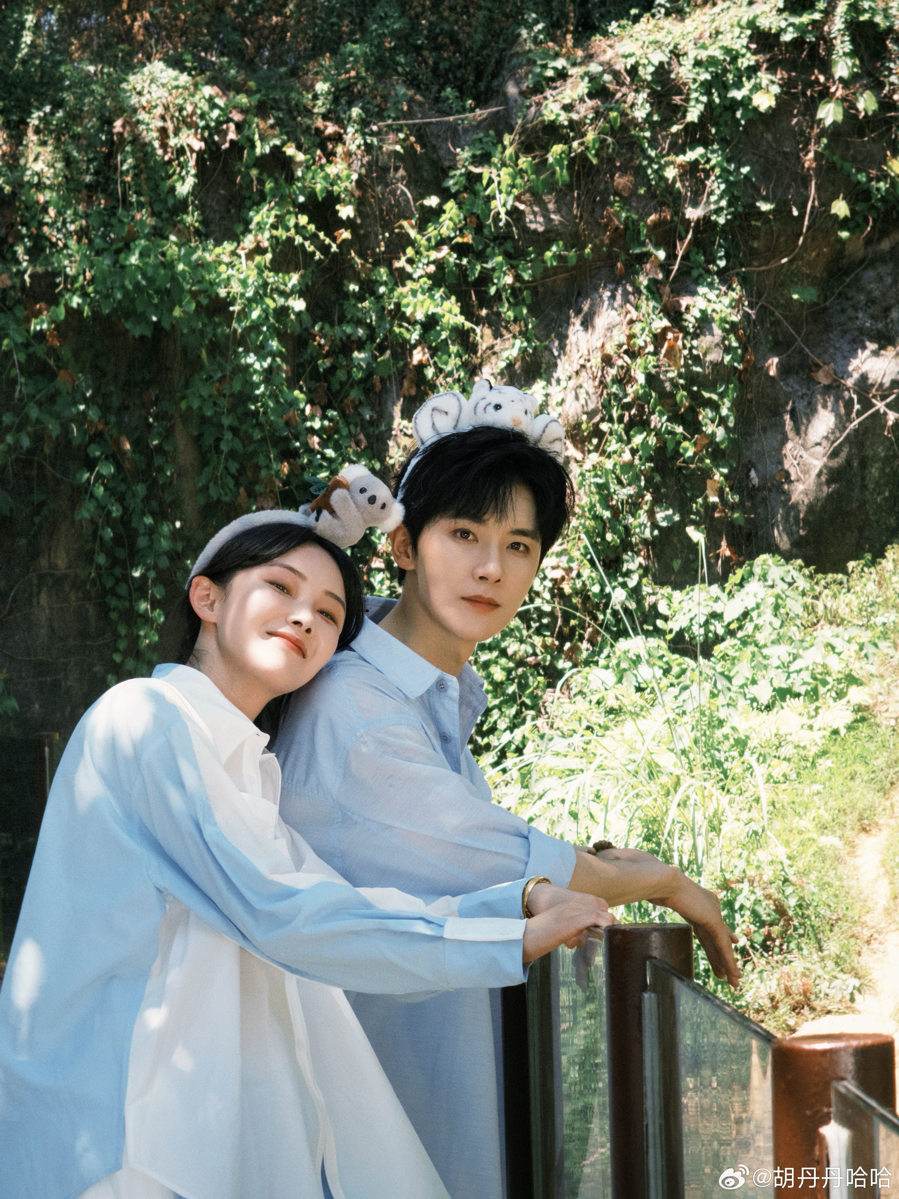 问：动物园里有什么？答[打call]沈公子网剧有夭 ​​​