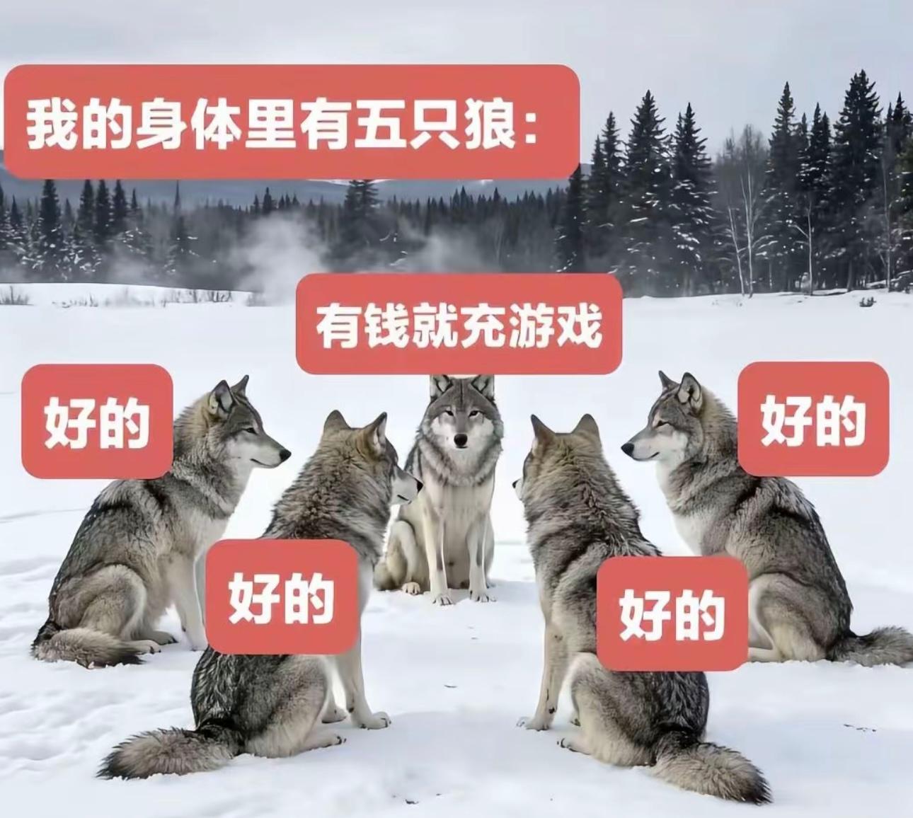 分享图片 ​​​