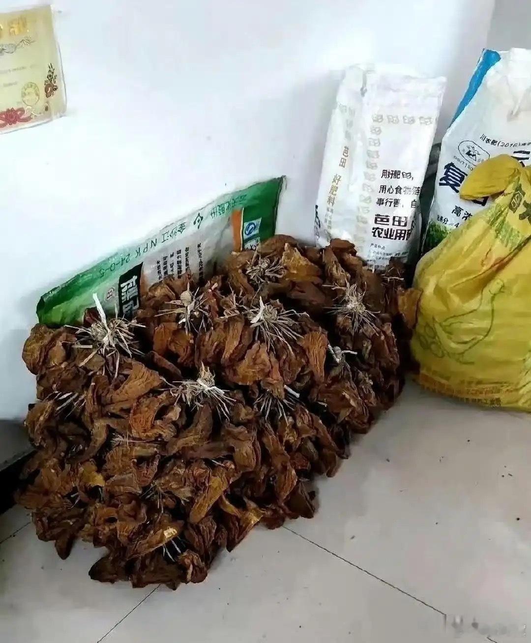 这才是真正的大户人家，太让人羡慕了 