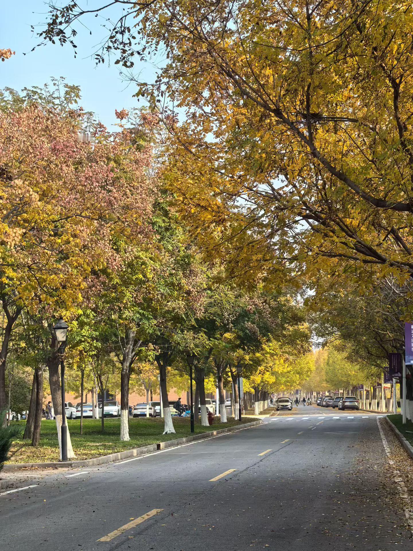 每片落叶，都是大自然，写给季节的情书，早安！ ​​​
