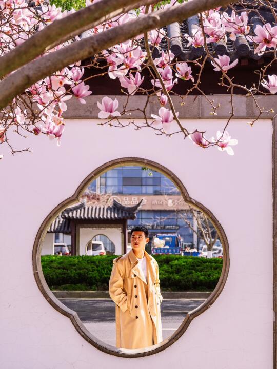 苏州人嘴真严❗️藏着这美的玉兰花公交站不说
