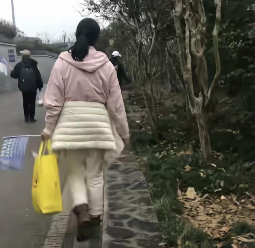 最近有人发视频说，在岳麓山爬到半山腰遇到了五六个人。他们举着颜色特别奇怪的旗子，