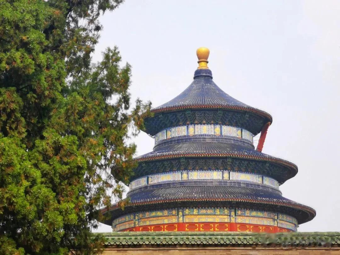 天坛公园除了是北京的热门旅游景点，
其实也是北京新人的领证拍照外景公园啦

【天