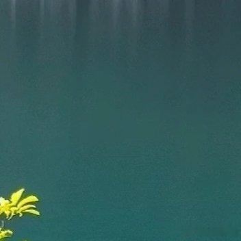 就是这么一种人，进入你生命的时候并不让人欢天喜地，他们却能够在离开你之后，让你一