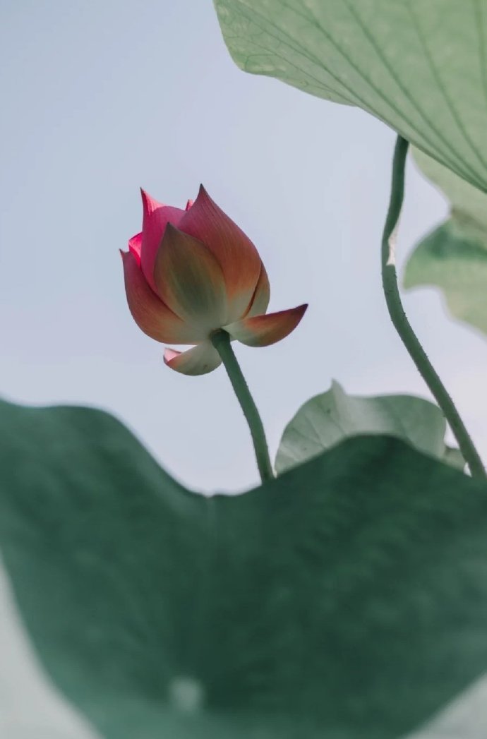 任何热闹对于人都是一种消耗，人在热闹之后会感到累和虚空。任何宁静对于人都是一种滋