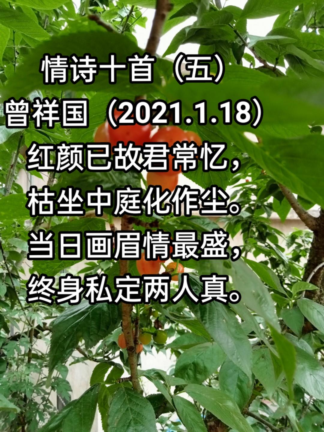 情诗十首（五）