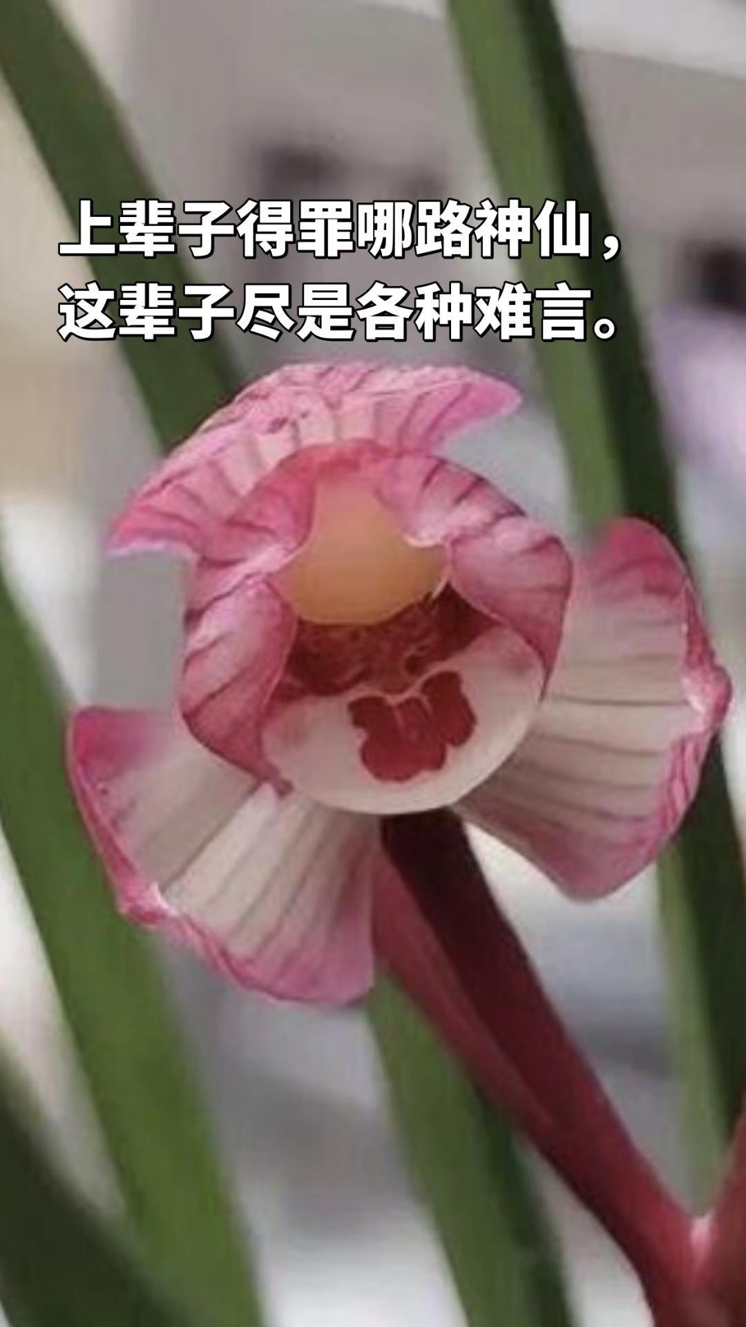 季节到了最冷，离暖春就不远了