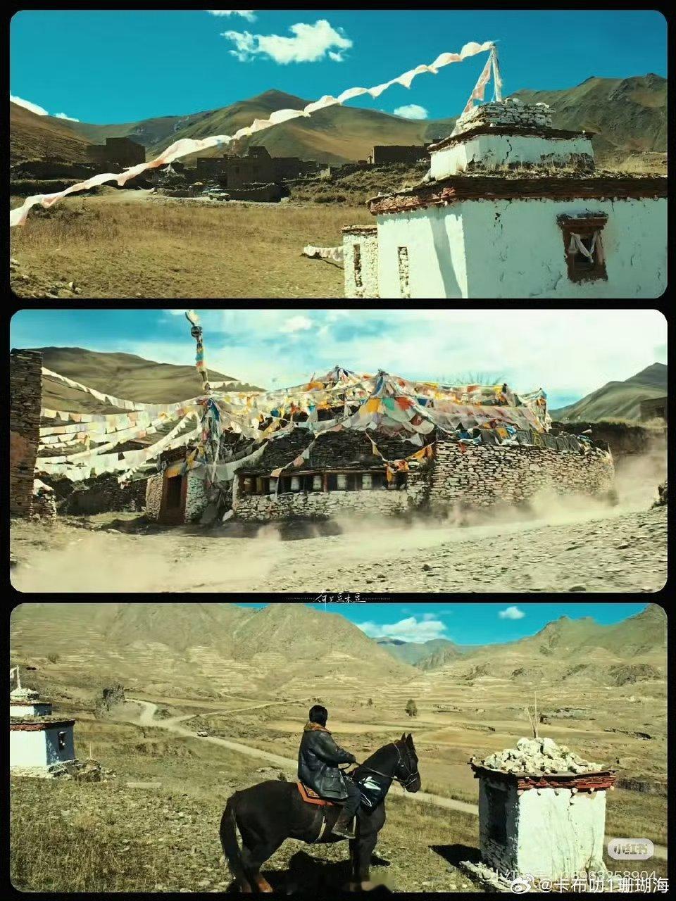 生命树真把大自然的纯粹之美拍出来了，太棒了！ 