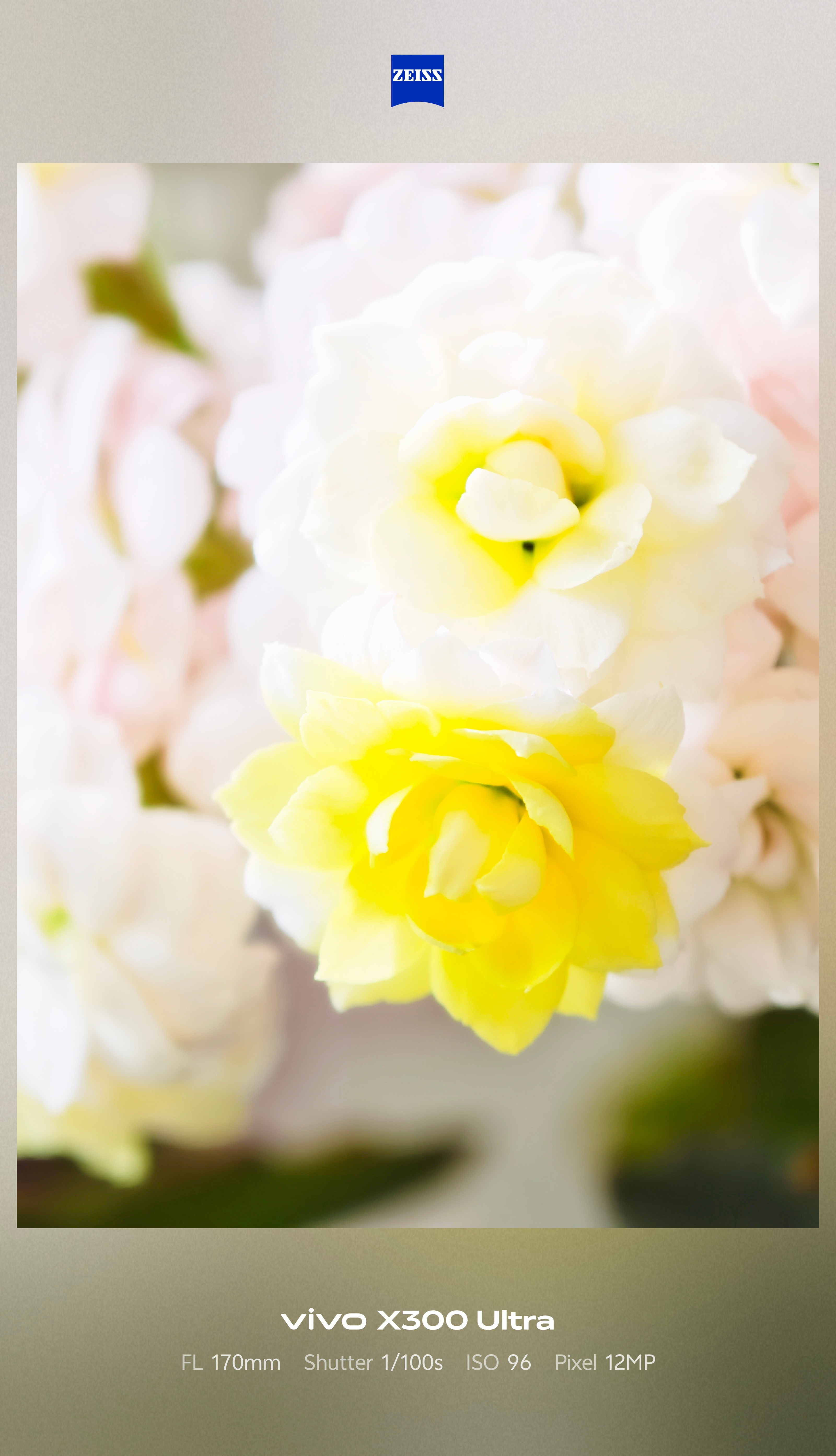 这照片在手机上看亮度是正常的，为什么发到微博上来这么夸张？ 