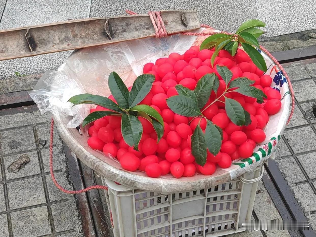 在重庆的磁器口、解放碑周围，经常能看到卖这种果子的，说是什么金西梅，但实际上都是