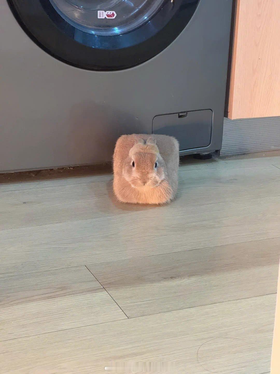 “怎么回事我好方啊” ​​​