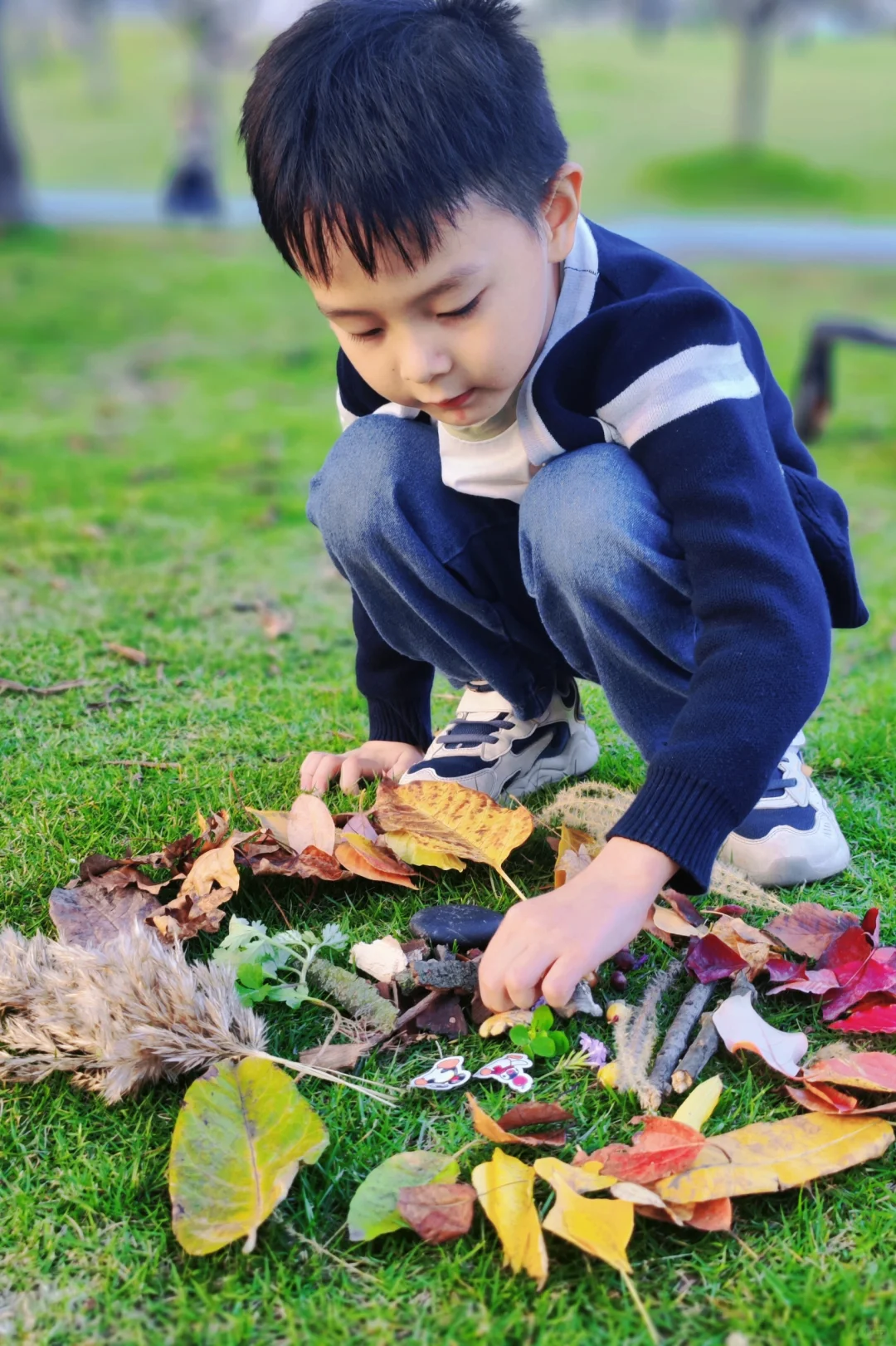 没想到在兴隆湖，我捡到了多彩的秋天🍂