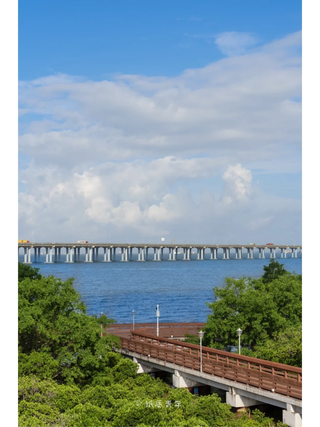 暴雨过后的西湾红树林到底有多美❓