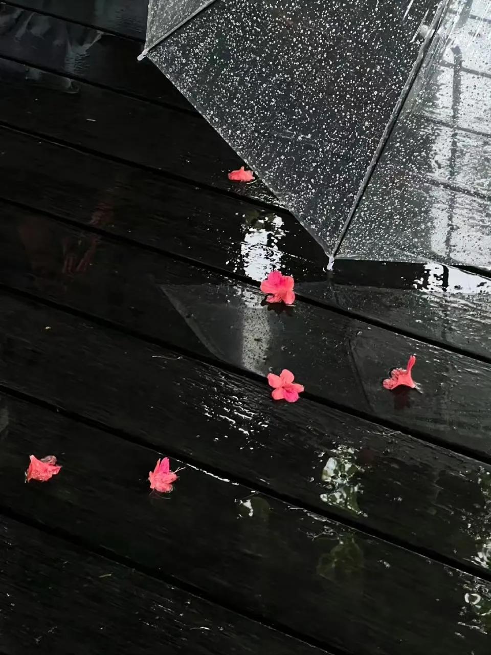 “接下来的日子 把衣服穿厚点 走路慢一点 睡觉早一点  这场雨过后呢 就有点冷了
