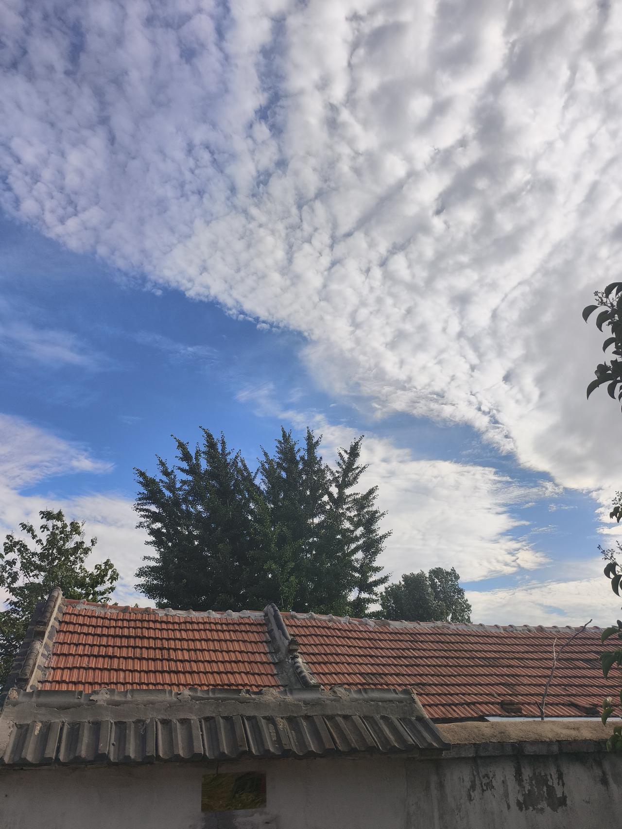 母亲住在老家，我住在镇上。
总想着，住的与母亲近一些，近一些。
如果我回到老家，