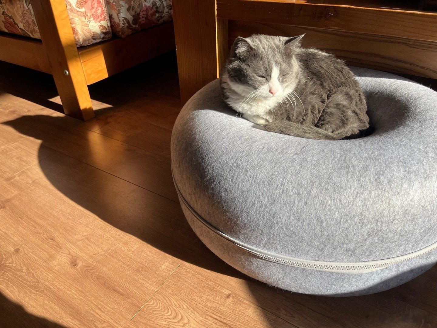 晒褪色了#憨猪能量[超话]# ​​​