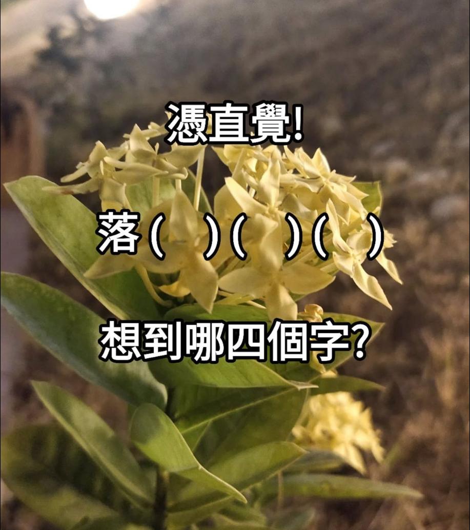 当你看到落（）（）（）时，第一反应想到的成语/词语是什么？
