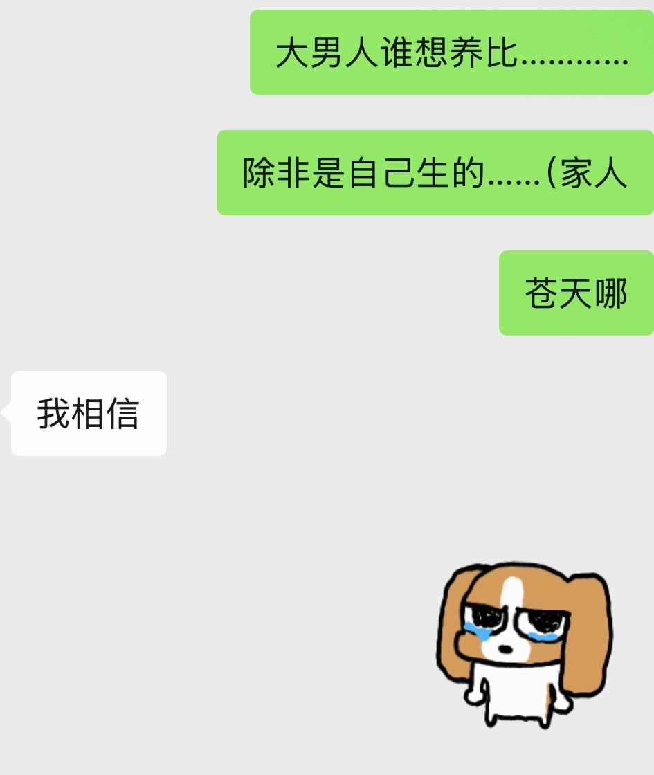 磕到比格怎么办