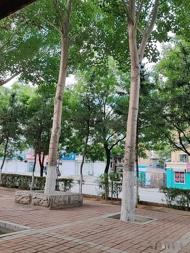 都到了这个时候了，
还有人在评说他，
是不是有点过了，
他已经为自己的做法买单了