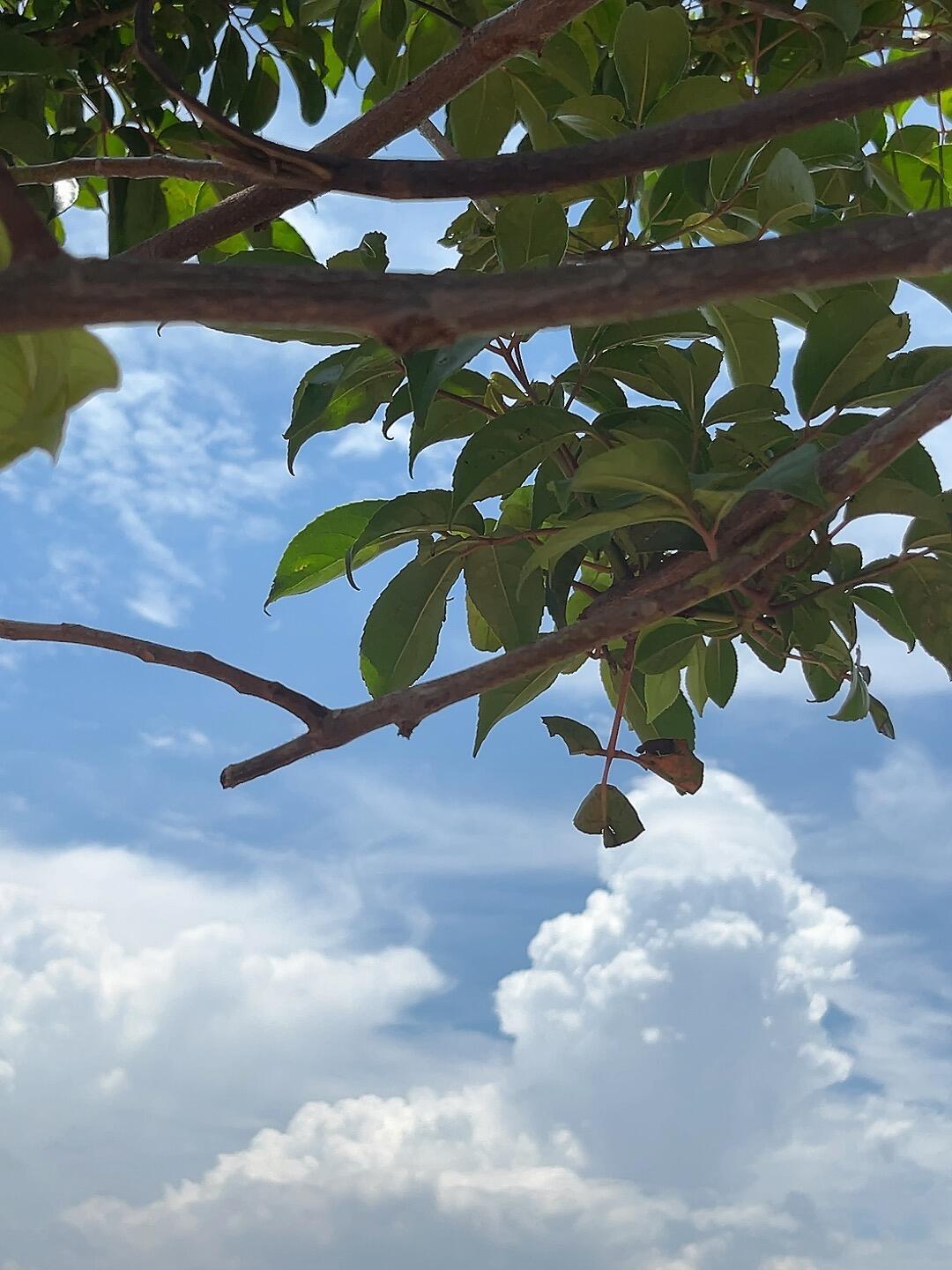 救命！今天天空好美啊📷