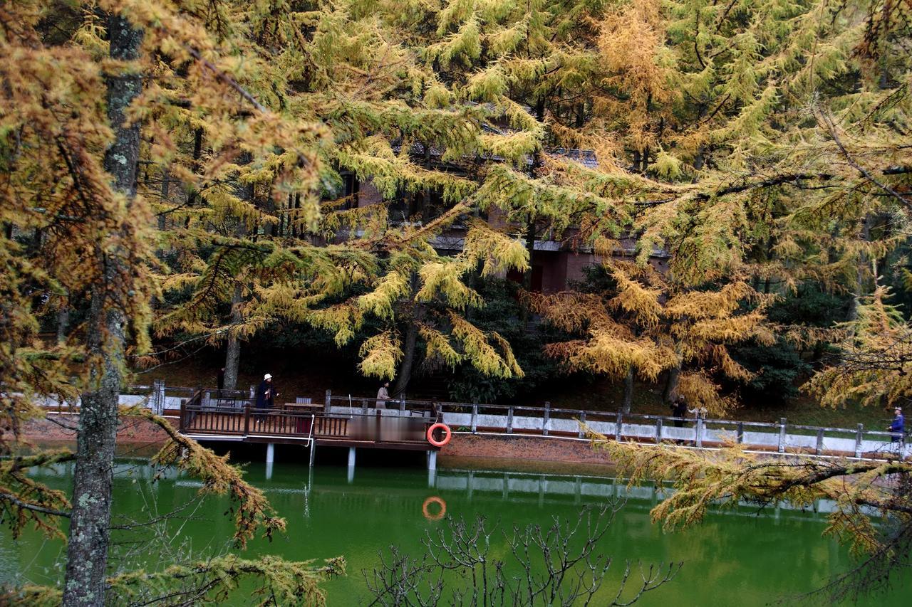 这个地点的风景真的非常漂亮，秋意浓浓，特别适合拍摄人像艺术照。[赞][赞][赞]