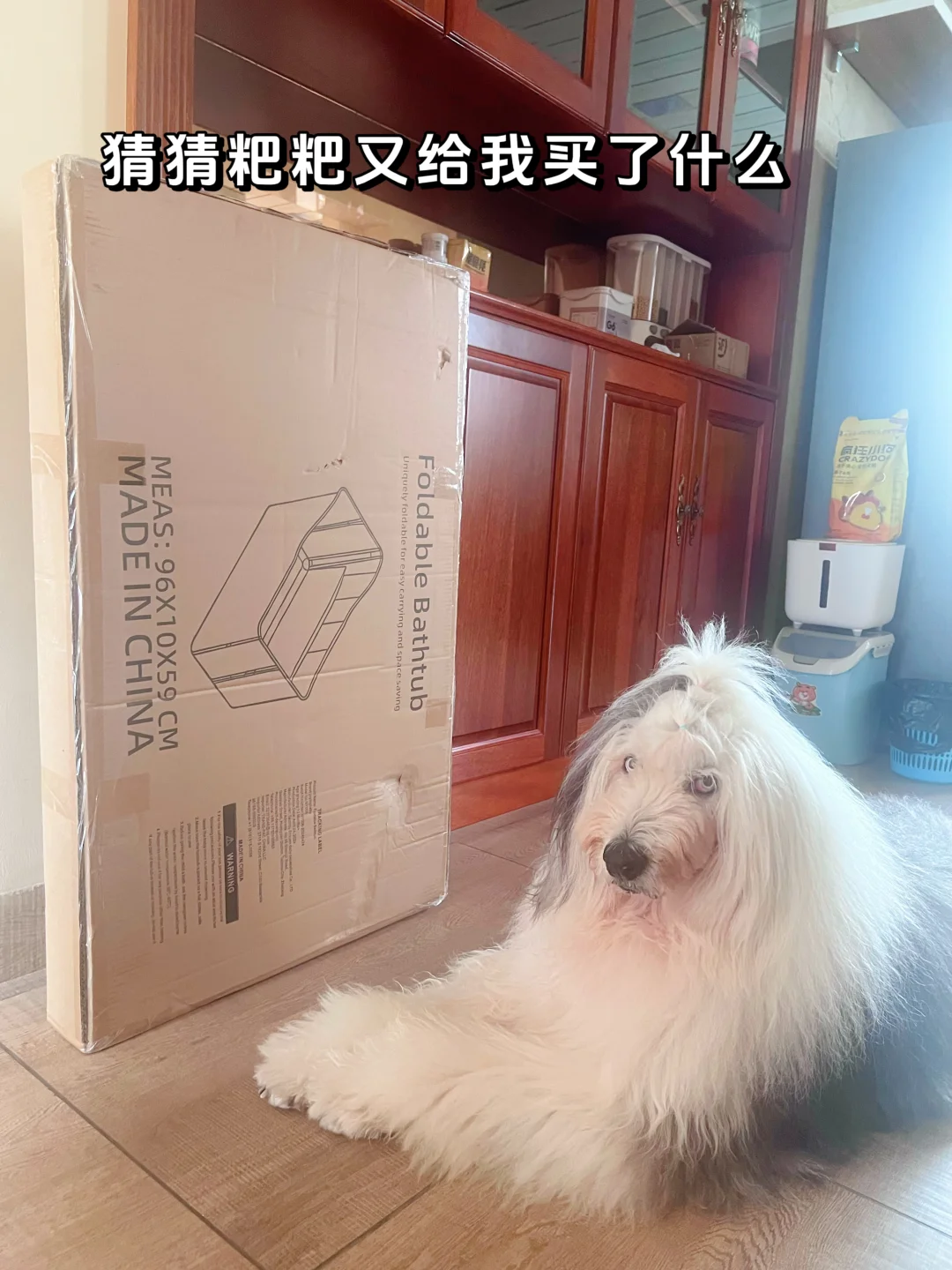 古牧百富——“今天是家居博主”