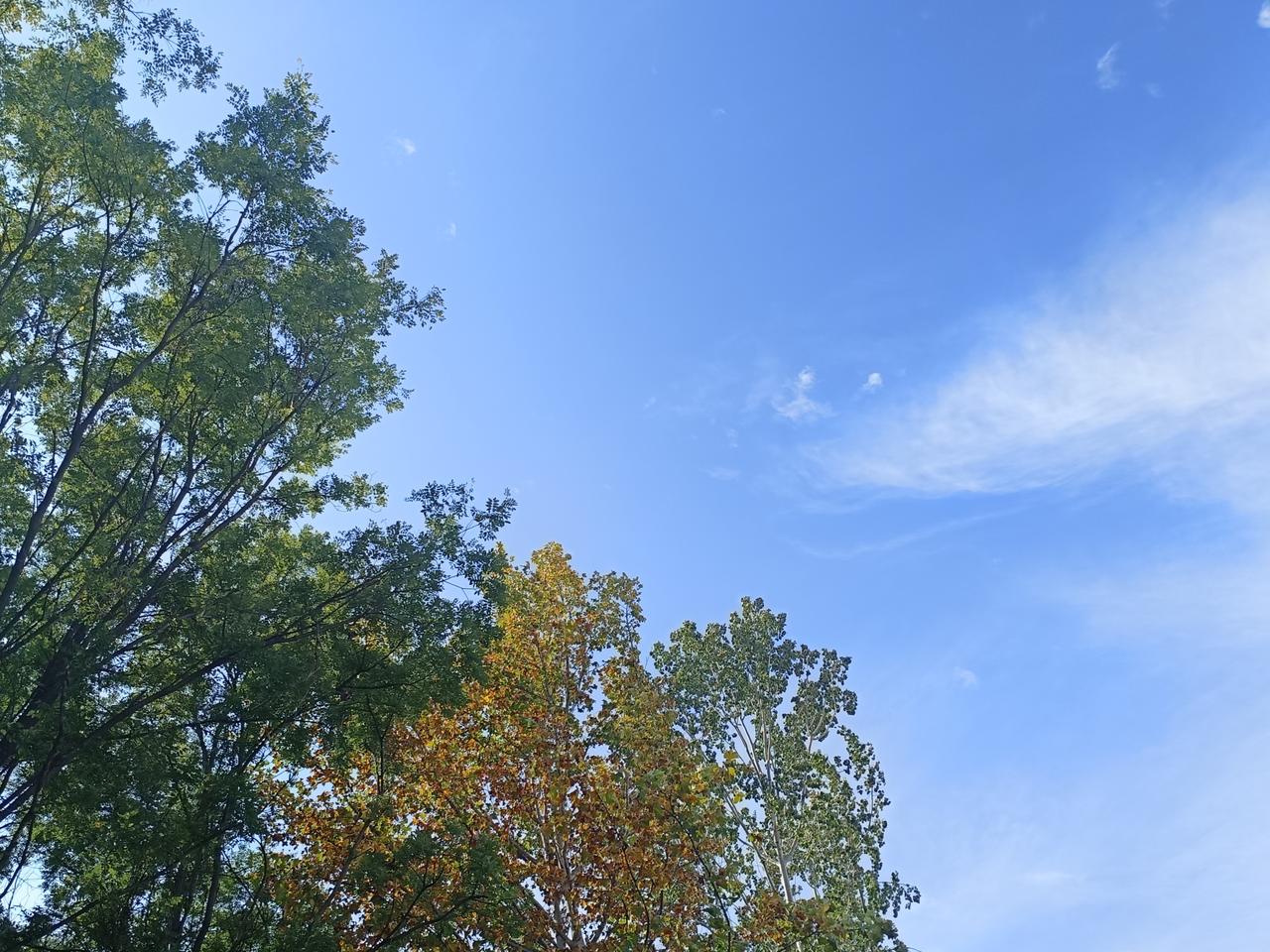 天空无限辽阔美好，包容一切。
心宽福自来。