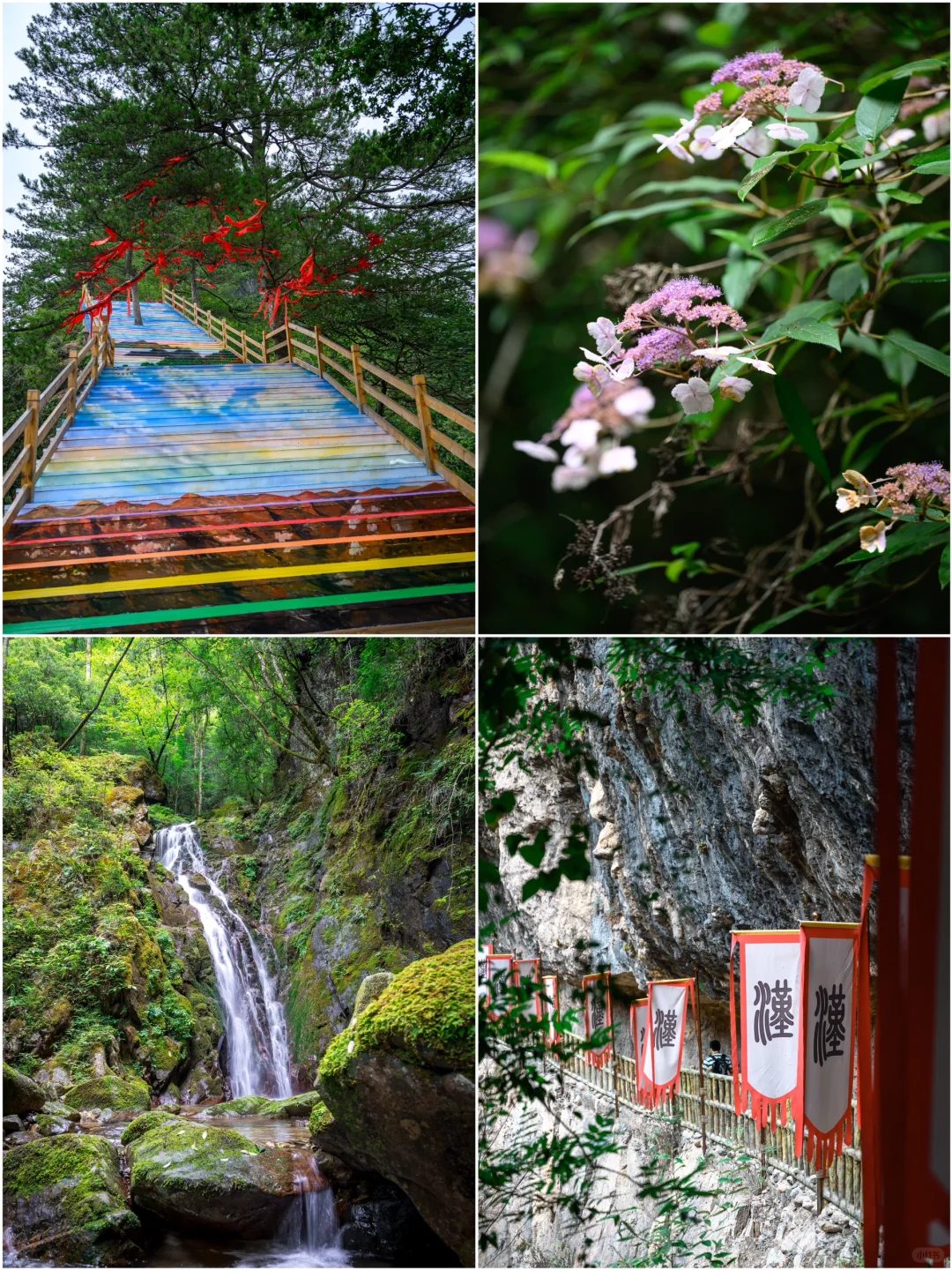 🚶‍♀️ 去光雾山特种兵徒步打卡⛰️