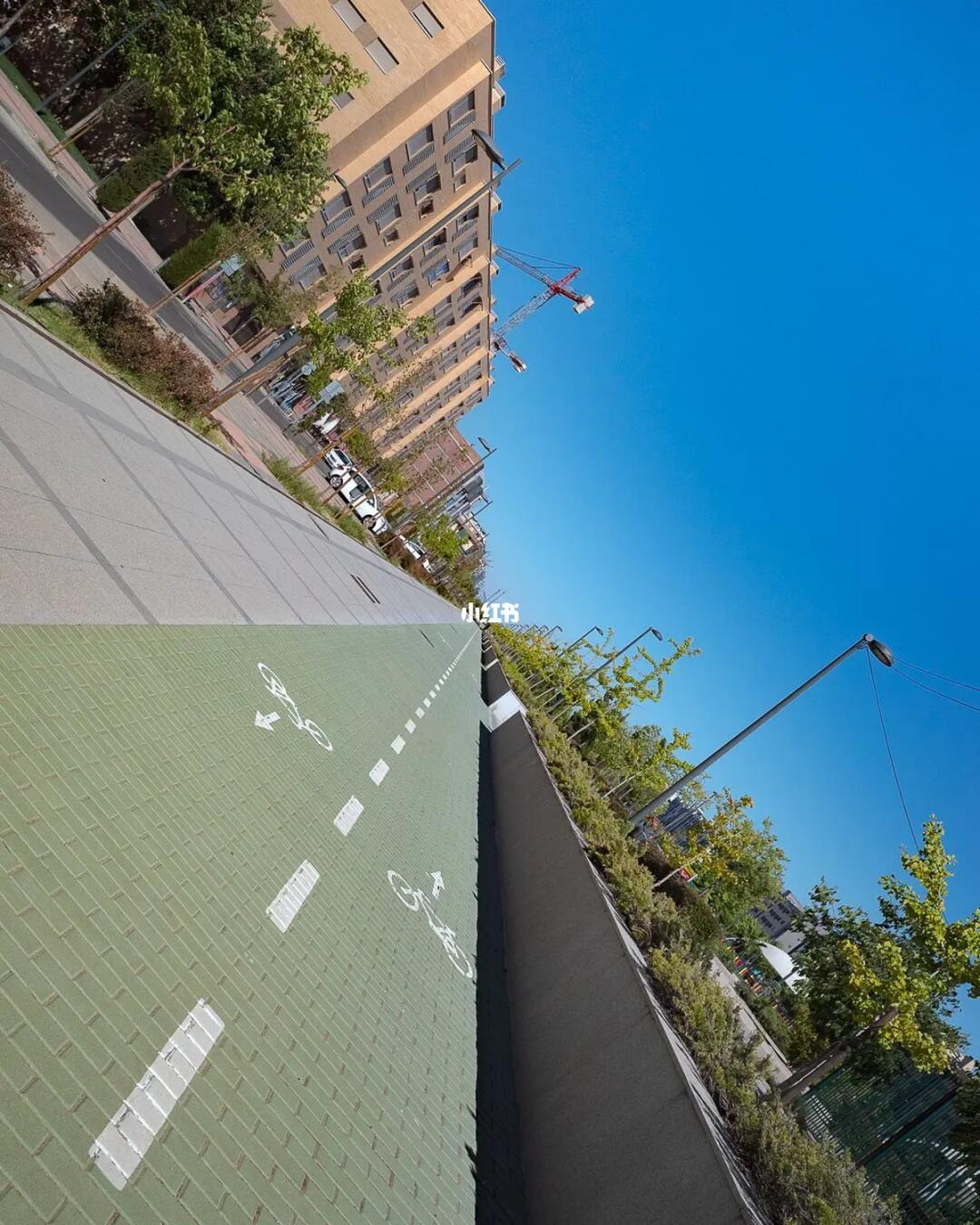 审美提升|每天认识一位摄影大师222