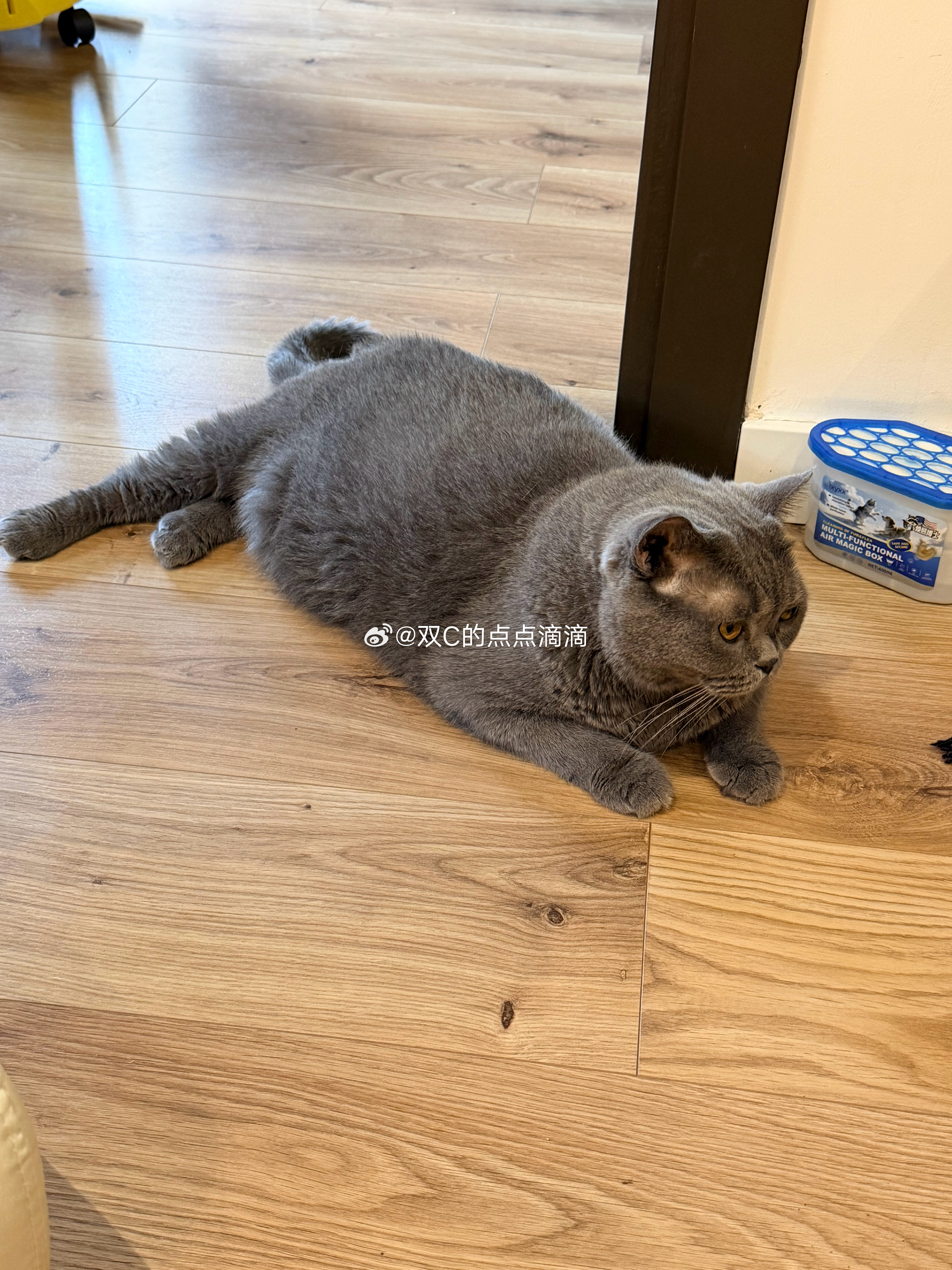 旁边这个盒子说是 猫的毛都能吸在这里这样家里就不飘毛了但我家本来也不飘毛啊….这