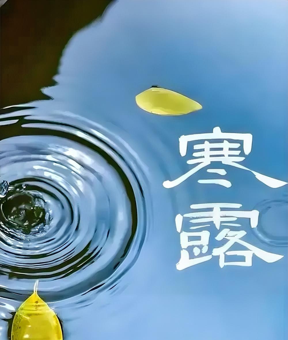 原创填词三首：卜算子·在人间
文/神雨

题记：今日寒露，难免有悟，虽无流量，欣