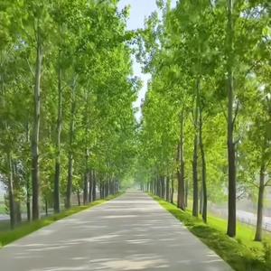 回家之路漫漫