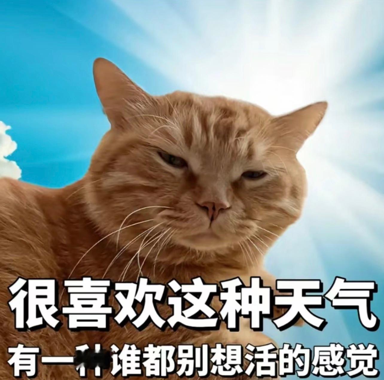 广东这两天热到什么程度呢就是我怀疑我家空调是不是坏了的程度 完全不凉
