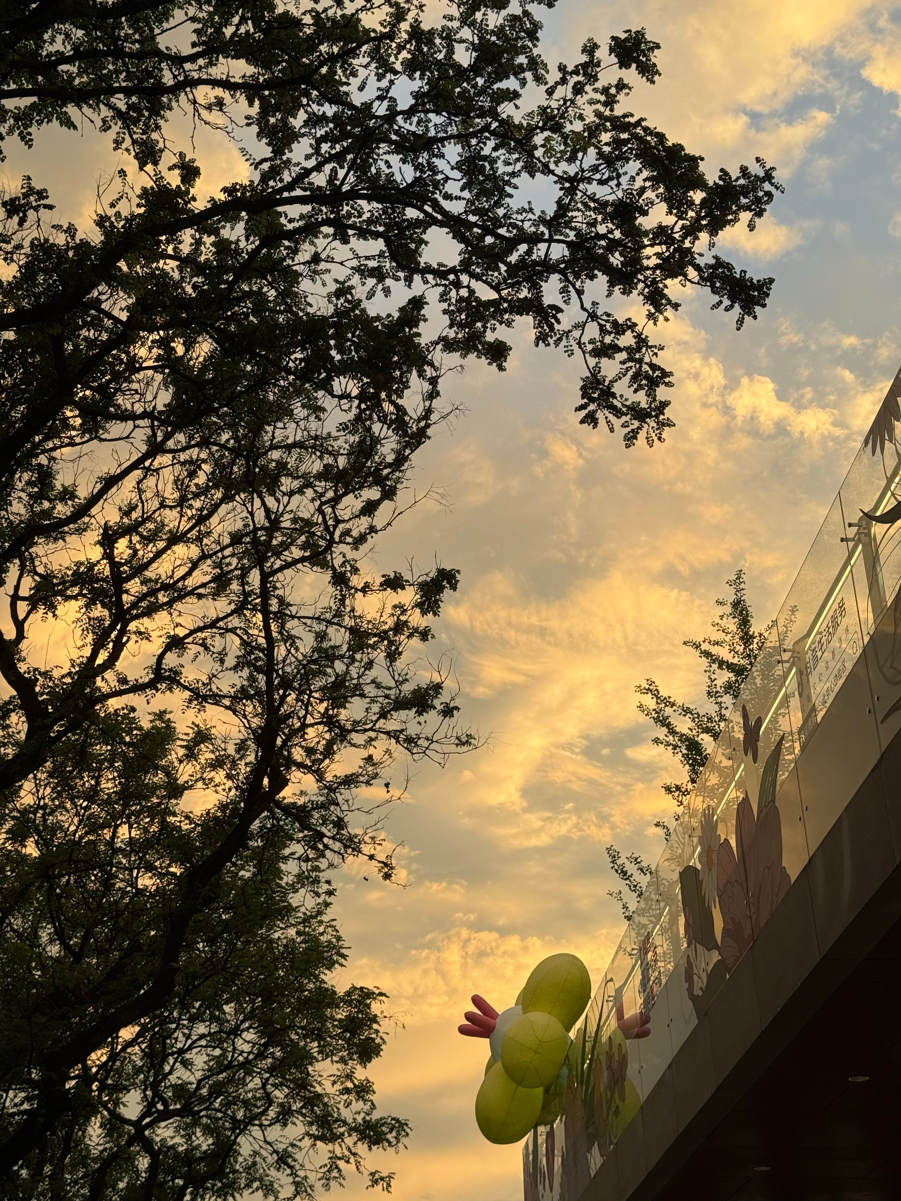 生理期第一天腰痛到端不动相机…下午大暴雨思考了半天好歹是个节气（。既然赶上了那就