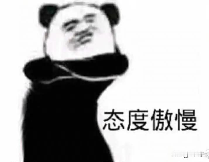 东北方言之（690），带答不稀理：
是东北方言中的口语加强版，态度极其冷淡傲慢，