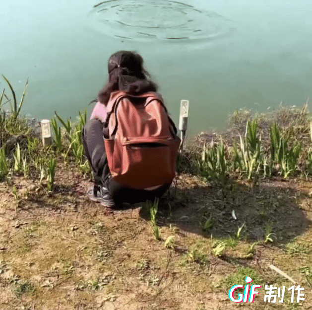有村民拍到一女子往河里扔福寿螺的视频，要么她就是愚昧放生入侵物种，要么这就是在有