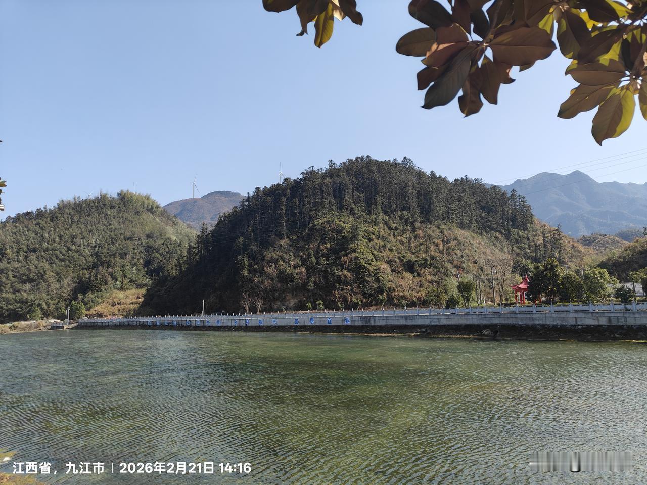 分享一张最近随手拍的照片以为是湖光山色，实际上只是一条小溪，清澈的水面才如此干净