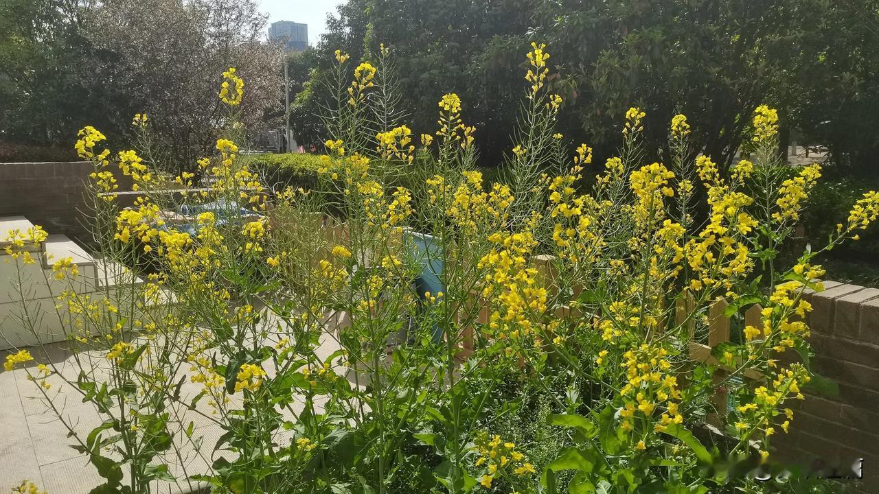 “贪得者，分金恨不得玉，封侯怨不授公。”欲望是个无底洞，喂得越多，心越空虚。多少