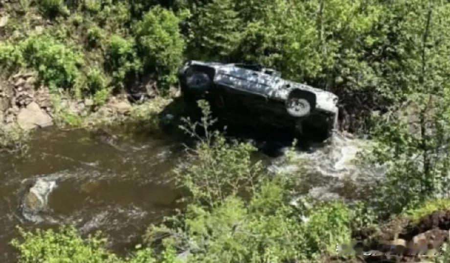 俄勒冈州荒野的呼唤：灵犬救主

在俄勒冈州的深邃森林中，杰克与他的家人带着四只爱
