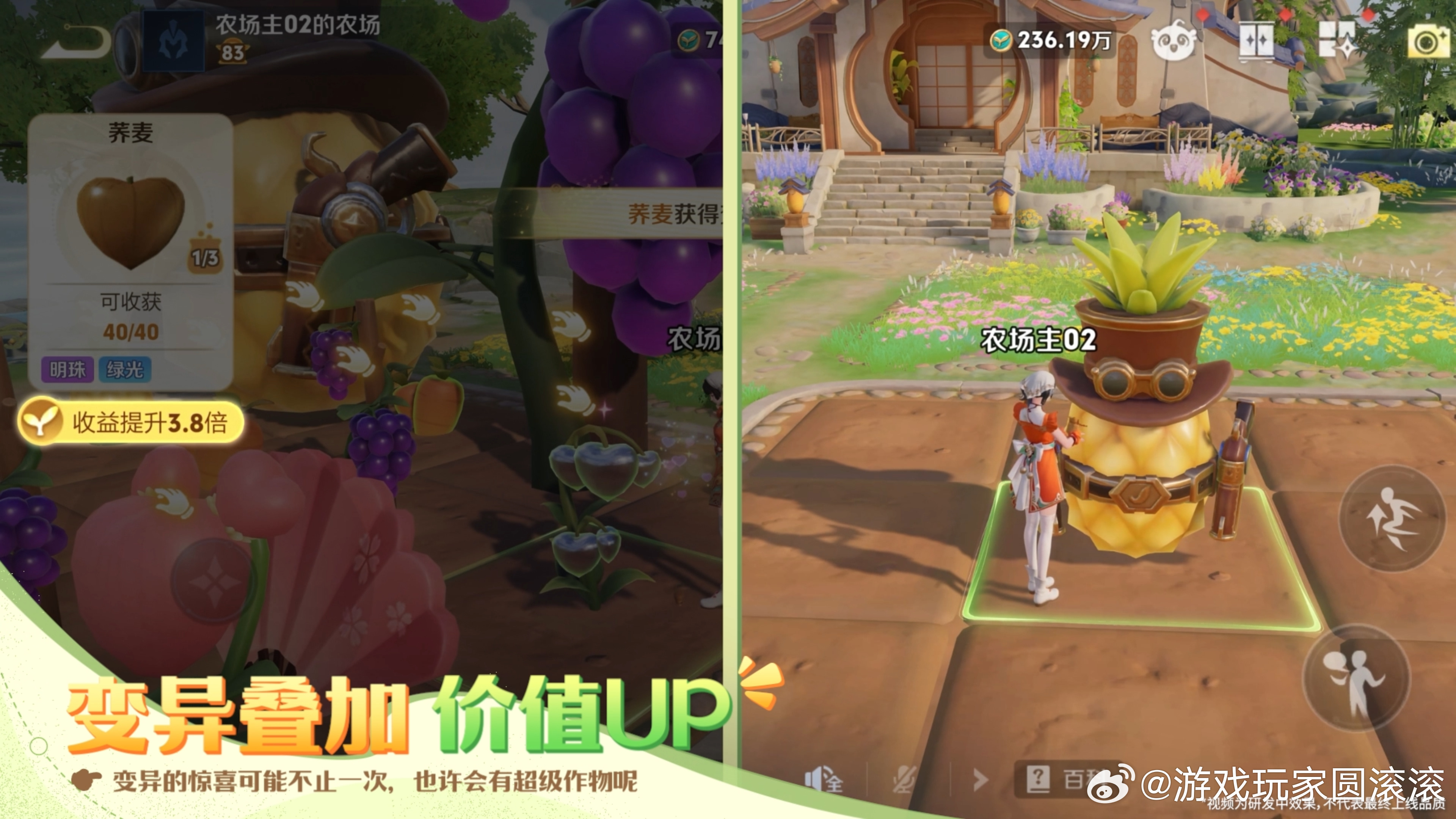 王者荣耀 东皇太一 王者小屋农场玩法上线快来王者农场种菜了一生要强的峡谷召唤师们