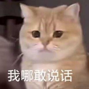 晚上好～看完今天的比赛你想说———大电竞分享