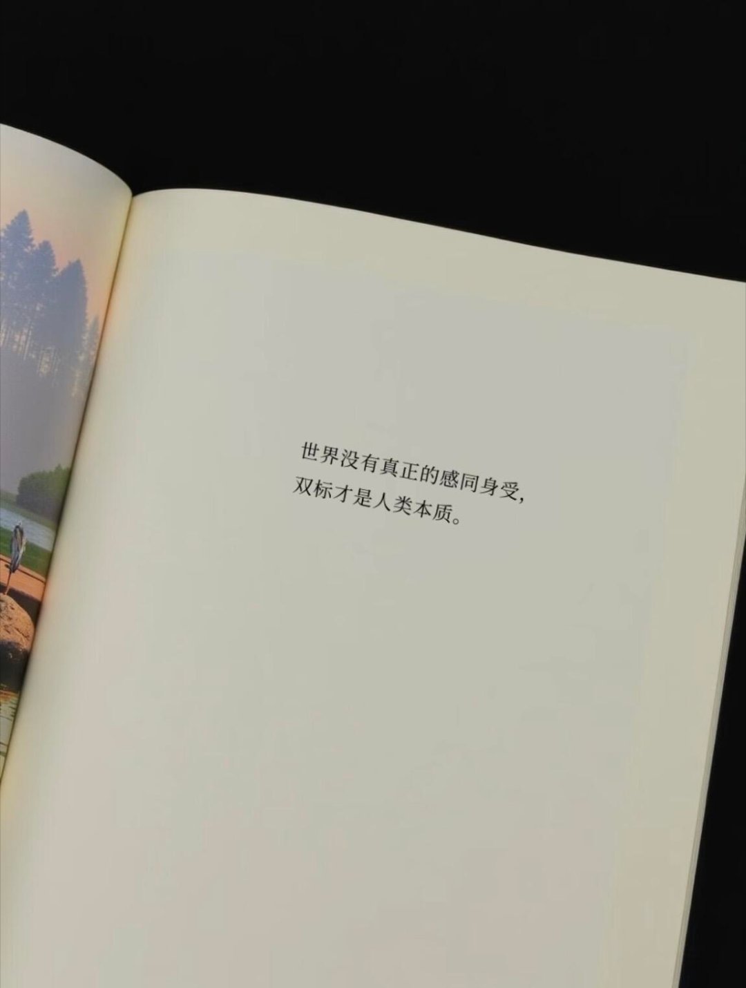 天呐，好喜欢这句。 ​​​