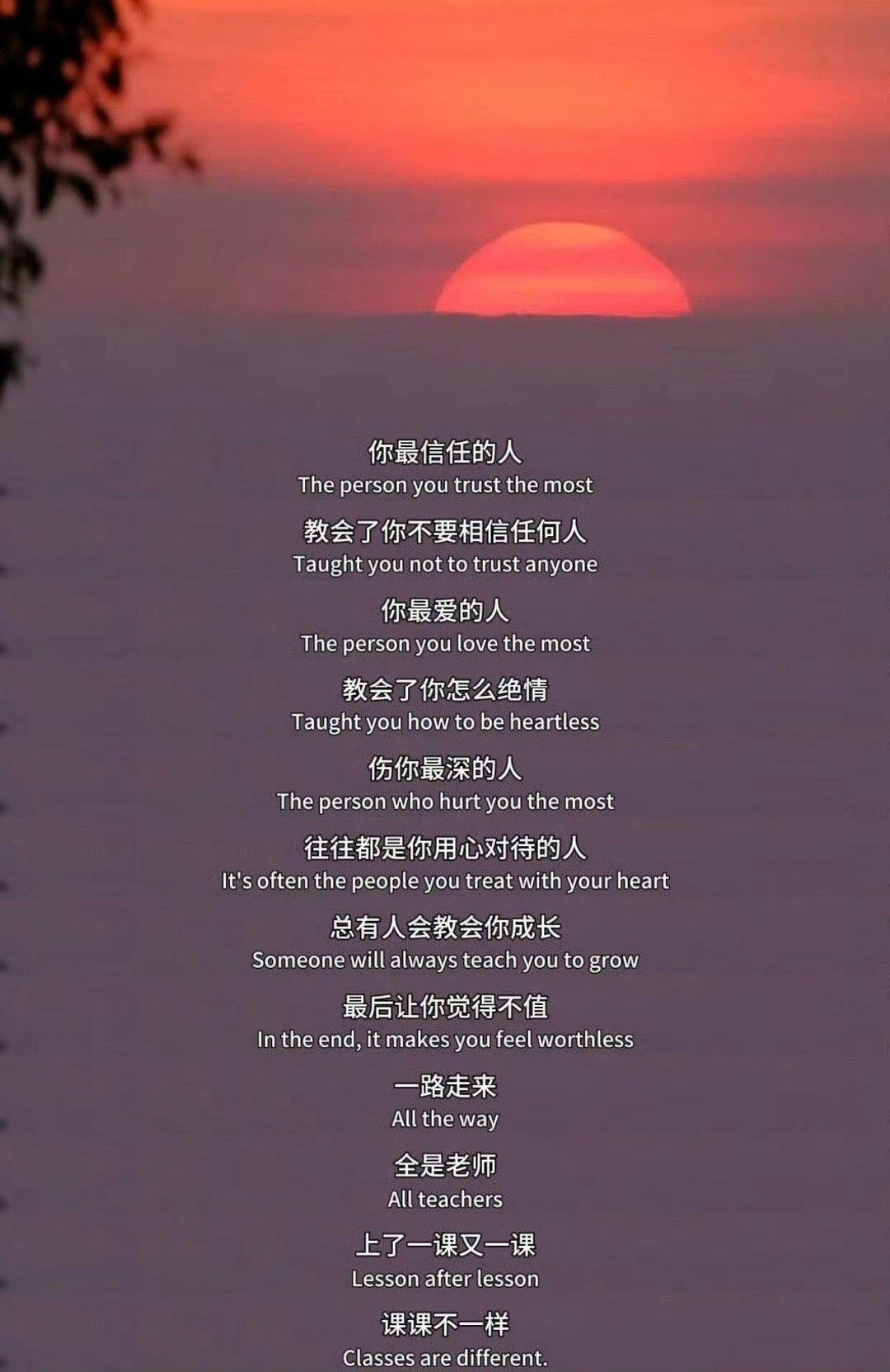 人生就是一节又一节课，课课不一样 