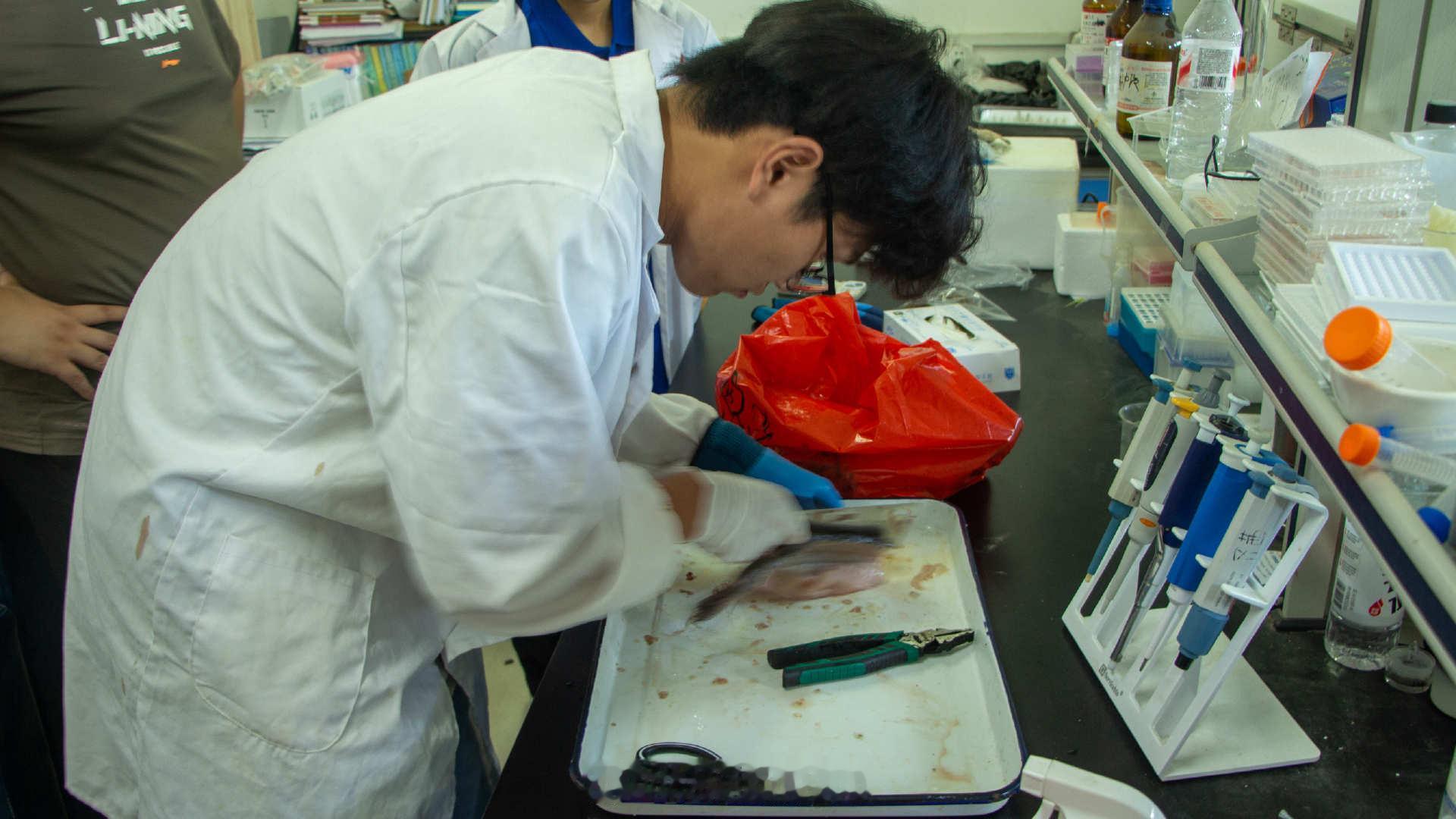 【走访水产市场察实情 守护舌尖安全践初心】河南科技大学学子助力基层食品安全河南文