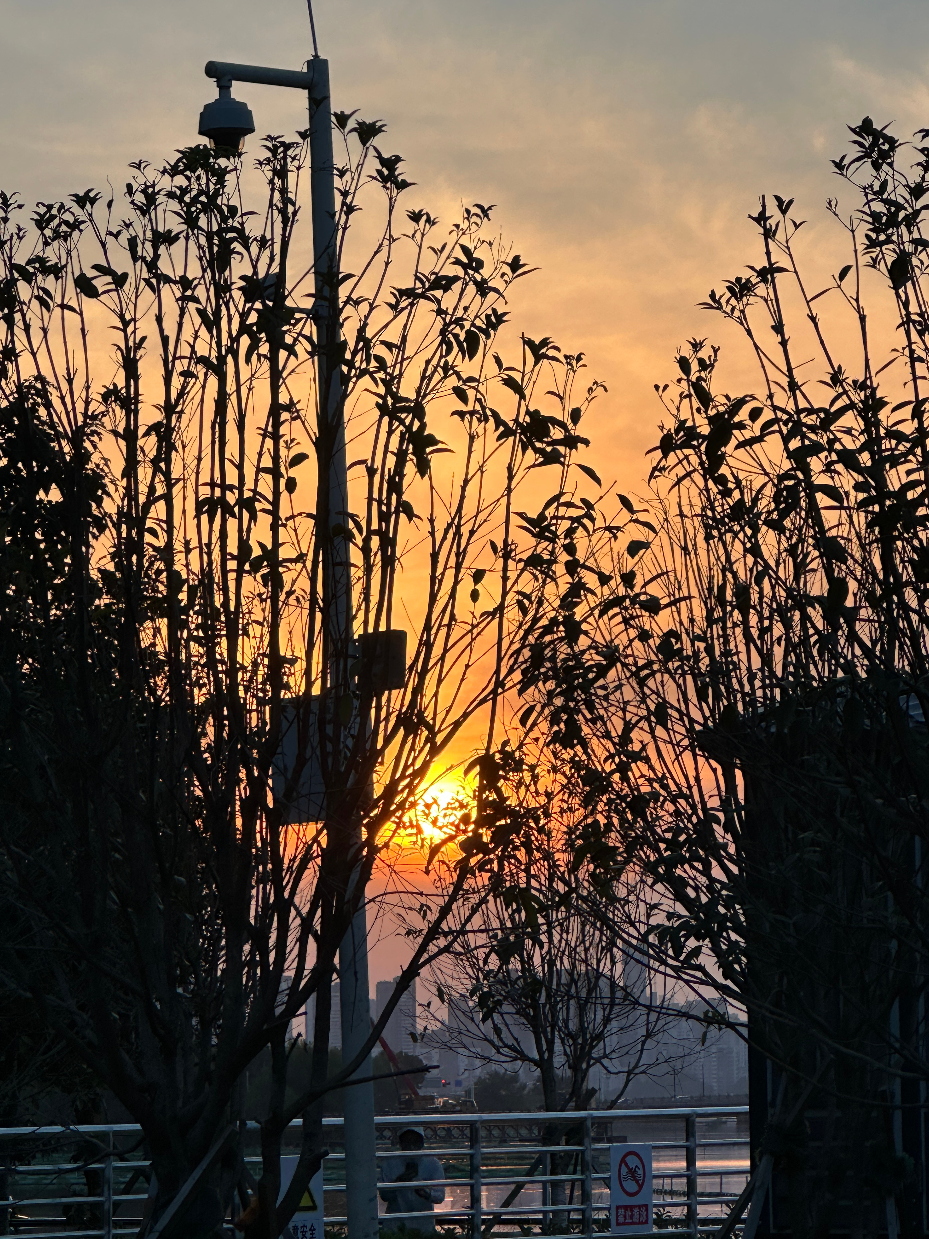 最近有狠狠抹茶🍵 ​​​